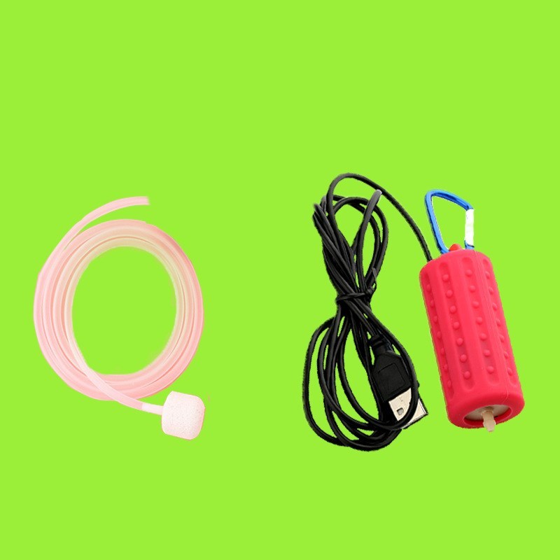 Portable USB oxygen generator